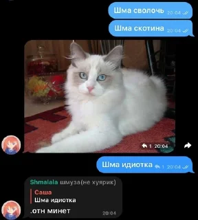 🌟 emoji жить Telegram sticker 23 of 50