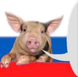 💬 emoji Русофобия Telegram sticker 20 of 120