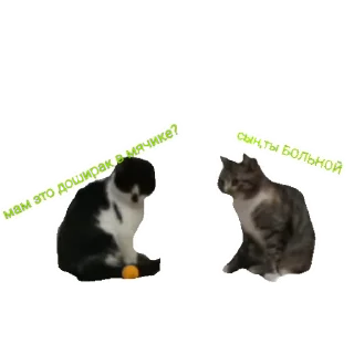 ❔ emoji А ну ка давай-ка! Telegram sticker 15 of 32
