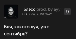 🥴 sa(y)lor, стикер Telegram 19 из 50