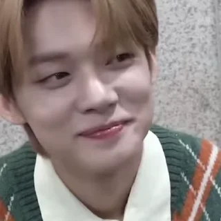 🥴 emoji yeonjun!🦊 @mikkulsen Telegram sticker 22 of 42