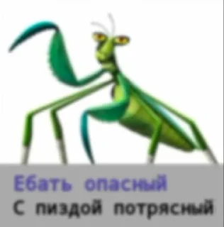 🪲 emoji Смешные рифмы кунг фу панда Telegram sticker 5 of 14