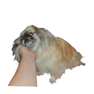 🙂 emoji Чери Telegram sticker 7 of 25