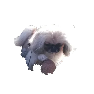 Sticker from Чери