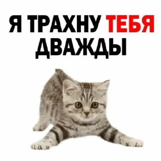 😄 emoji пошел нахуй Telegram sticker 16 of 20