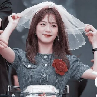 Sticker from jisoo by @lovestikerpacks