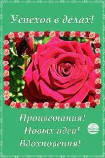 🌟 emoji Пенсионерские открытки вассап Telegram sticker 16 of 25