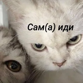 Sticker from КАРИНА ТОП