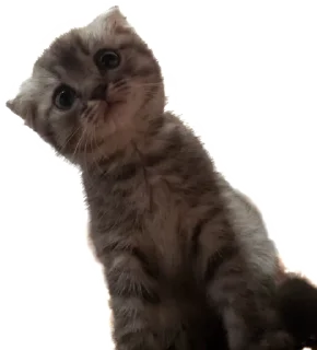 🌟 emoji Леха Telegram sticker 7 of 85