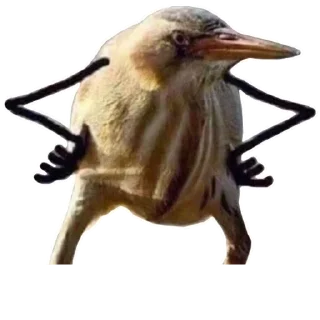 😠 emoji PawksLomeRore Telegram sticker 22 of 120