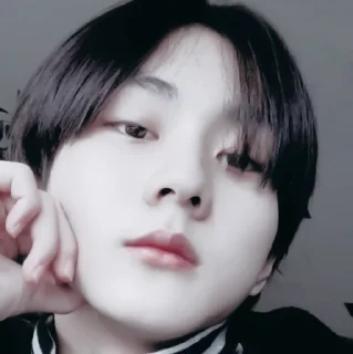 Sticker from —#jungwon꙳◦.*∘• //  @vvloco