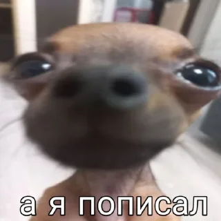 💗 emoji Бебрик Юми Telegram sticker 14 of 26