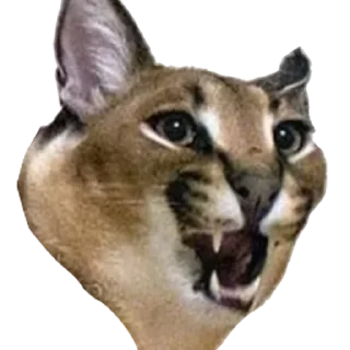 👺 emoji Большой Шлепа @trafslybot Telegram sticker 20 of 25