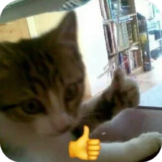 🫥 Cringe and cats, стікер Telegram 6 з 98
