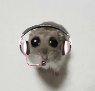 🌟 emoji pions & eli hamster Telegram sticker 8 of 14