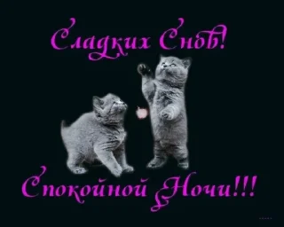 🌟 emoji ямете кудасай Telegram sticker 22 of 113