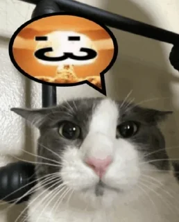 🤭 emoji silly Telegram sticker 20 of 58