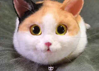 😸 emoji Сова Даня Telegram sticker 8 of 22