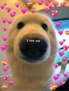 🌟 emoji милые Telegram sticker 8 of 44