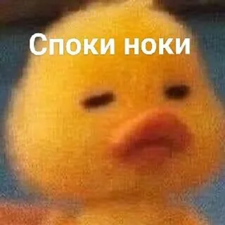 🚉 emoji Не пизди мои стики Telegram sticker 22 of 27