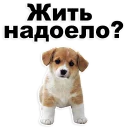 😡 emoji @TVstickers Puppies Telegram sticker 12 of 119