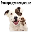 🙂 emoji @TVstickers Puppies Telegram sticker 22 of 119