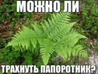 Sticker from высер