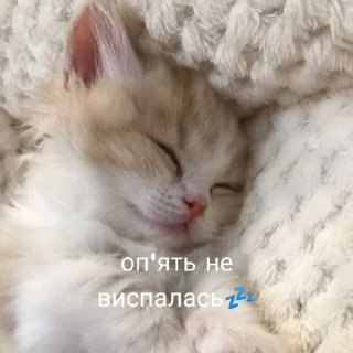 Sticker from Я поглянув тобі в очі
Силуети кажуть, що там спокій