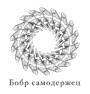 🤯 emoji bubr kurwa Telegram sticker 6 of 14