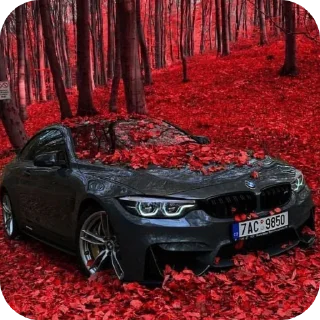 🚗 emoji Любовь Telegram sticker 15 of 56