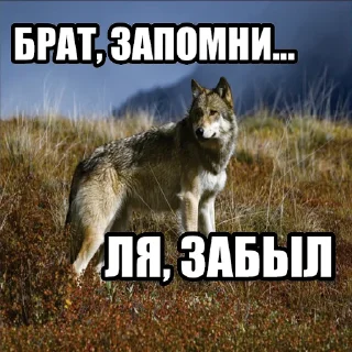 😶‍🌫️ emoji @neural_wise_wolf набор #1 Telegram sticker 11 of 82