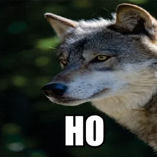 🤞 emoji @neural_wise_wolf набор #1 Telegram sticker 23 of 82