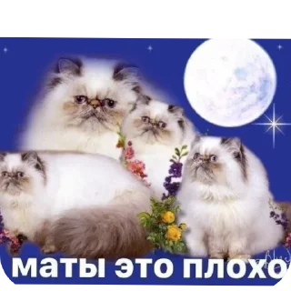 Sticker from Окей