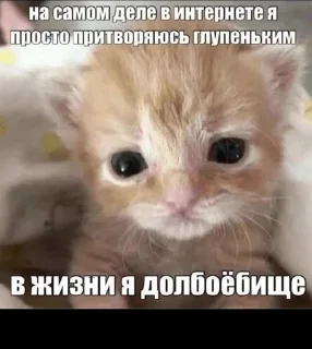 Sticker from Ну а чоб нет