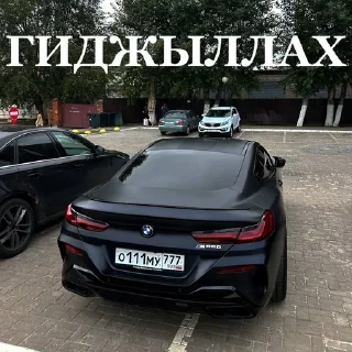 🌟 emoji Прокурорский Telegram sticker 9 of 38