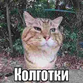 ❤ emoji носок by @flaps014 Telegram sticker 8 of 25