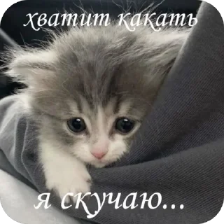 ❤ emoji 📌 Telegram sticker 16 of 27