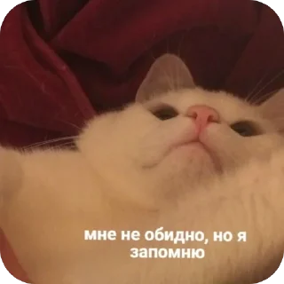 😌 emoji 📌 Telegram sticker 10 of 27