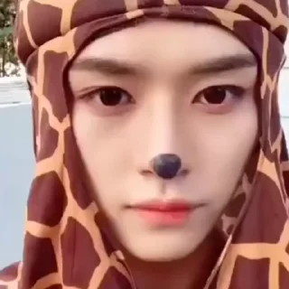 🐶 emoji Минхо и Джисон Telegram sticker 21 of 35