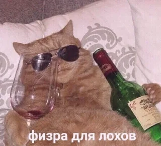 Sticker from Я тебя люблю