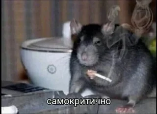 🙂 emoji Компуктер пак Telegram sticker 18 of 51