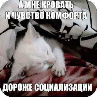 🫥 emoji Мужичек в микро пруду Telegram sticker 9 of 42