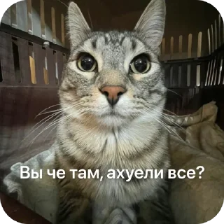🫥 emoji Мужичек в микро пруду Telegram sticker 16 of 42