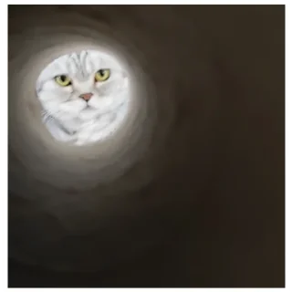 🌑 emoji Кори и Мира Telegram sticker 8 of 41