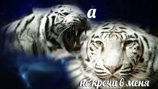 🌟 emoji якрутышка а4 а ты нет Telegram sticker 18 of 120