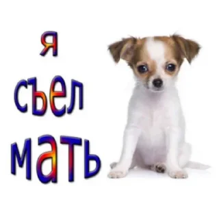 Sticker from Я отброс общества а ты нет
