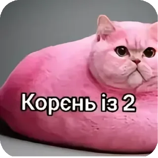 🐱 emoji мініт іт кітів Telegram sticker 7 of 24