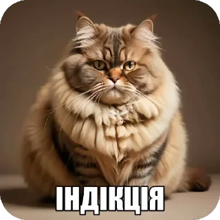 🐱 emoji мініт іт кітів Telegram sticker 17 of 24