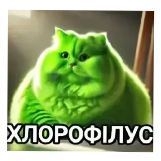 🐱 emoji мініт іт кітів Telegram sticker 23 of 24