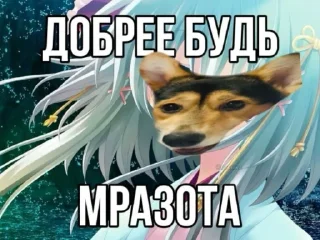 🤩 Сигма Тома @MoiStikiBot, Telegram sticker 9 of 11